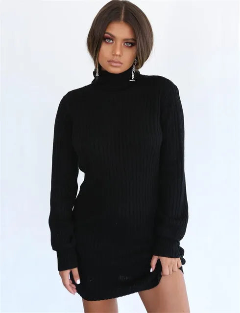 Autumn Knitted Long Sleeve Pullover Turtleneck Dress Print on any thing USA/STOD clothes