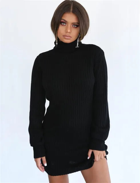 Autumn Knitted Long Sleeve Pullover Turtleneck Dress