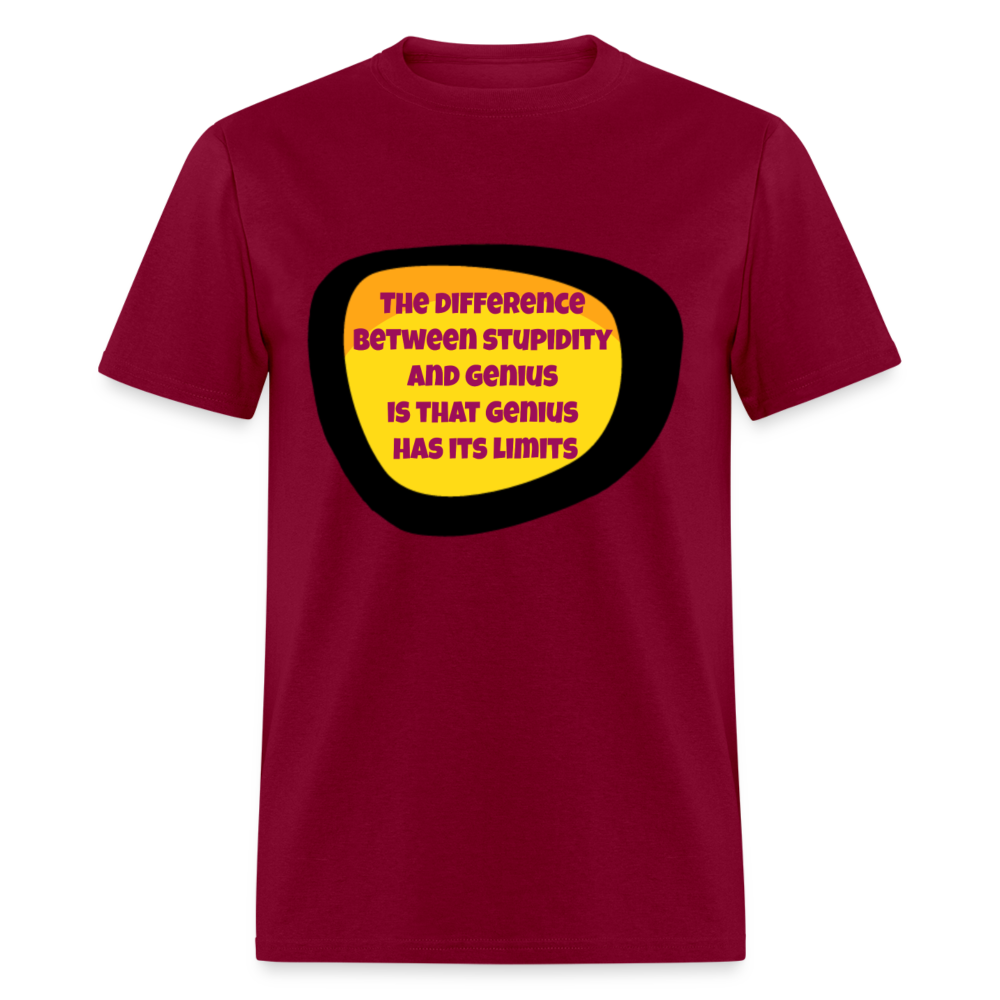 Unisex Classic T-Shirt THE DIFFERENCE BETWEEN..... - burgundy