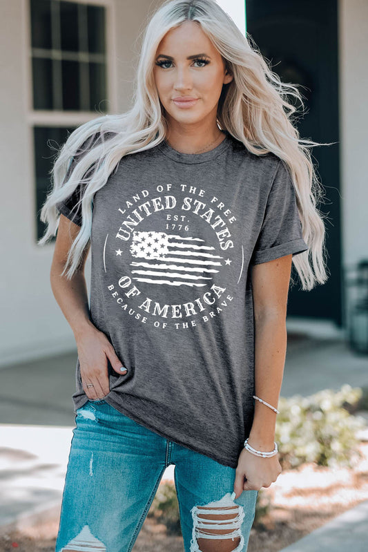 US Flag Graphic Short Sleeve Tee - Mid Gray / S